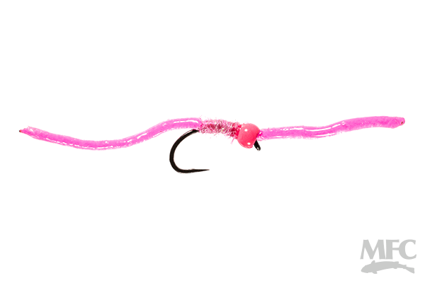 trinas squirm 1
