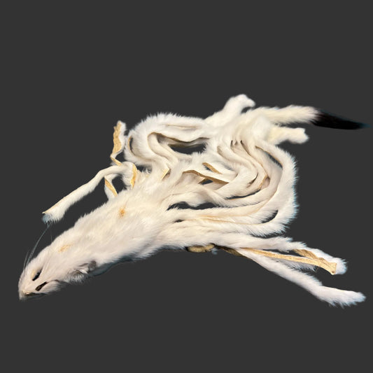 Zonked Ermine Hides (White Squirrel Strip Substitute)