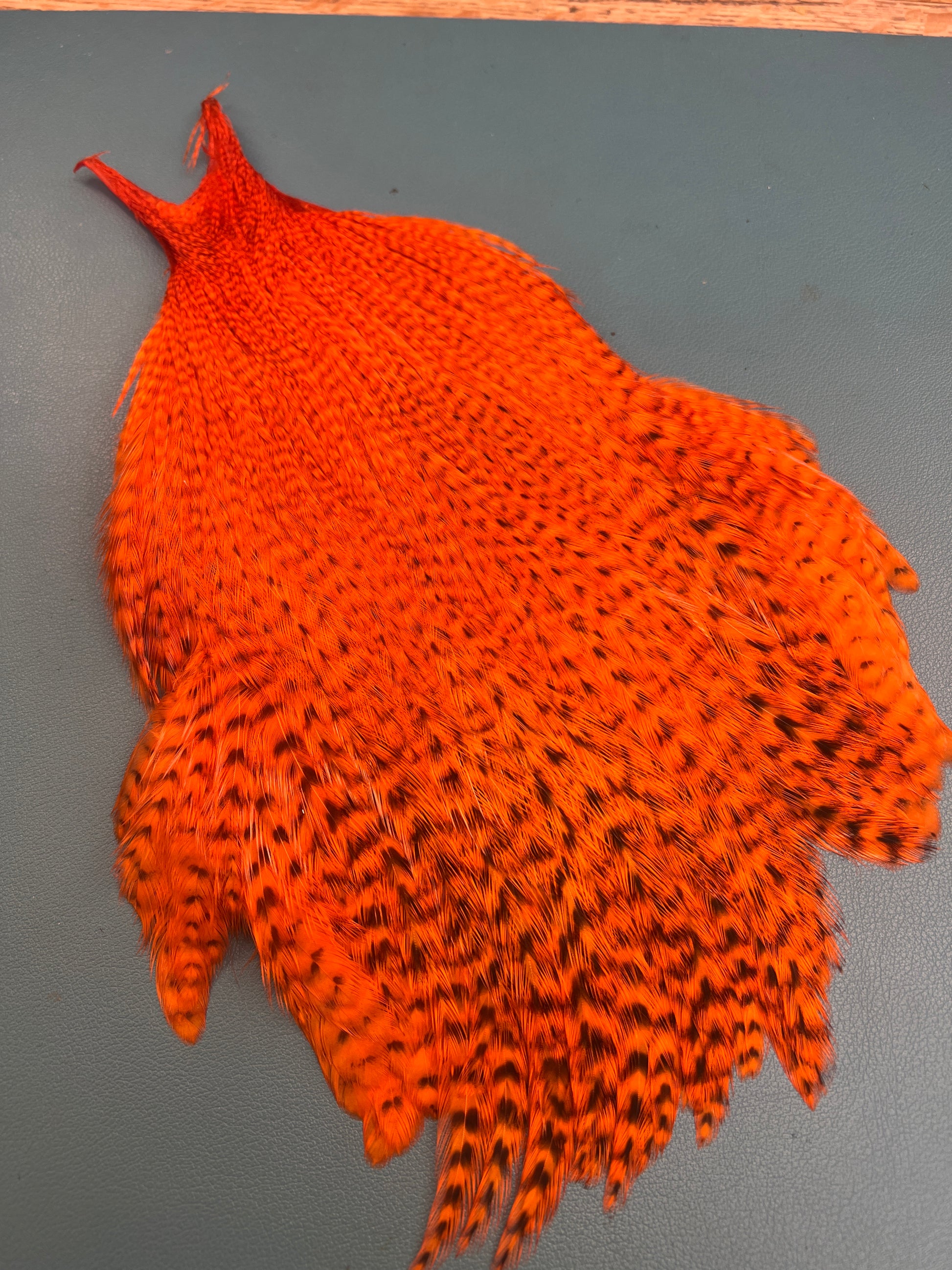 wapsi magnum streamer neck 2