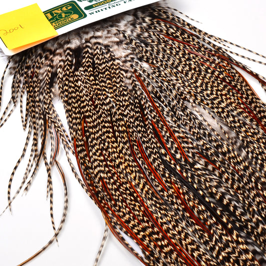 Hebert Bronze Saddle Grizzly Variant