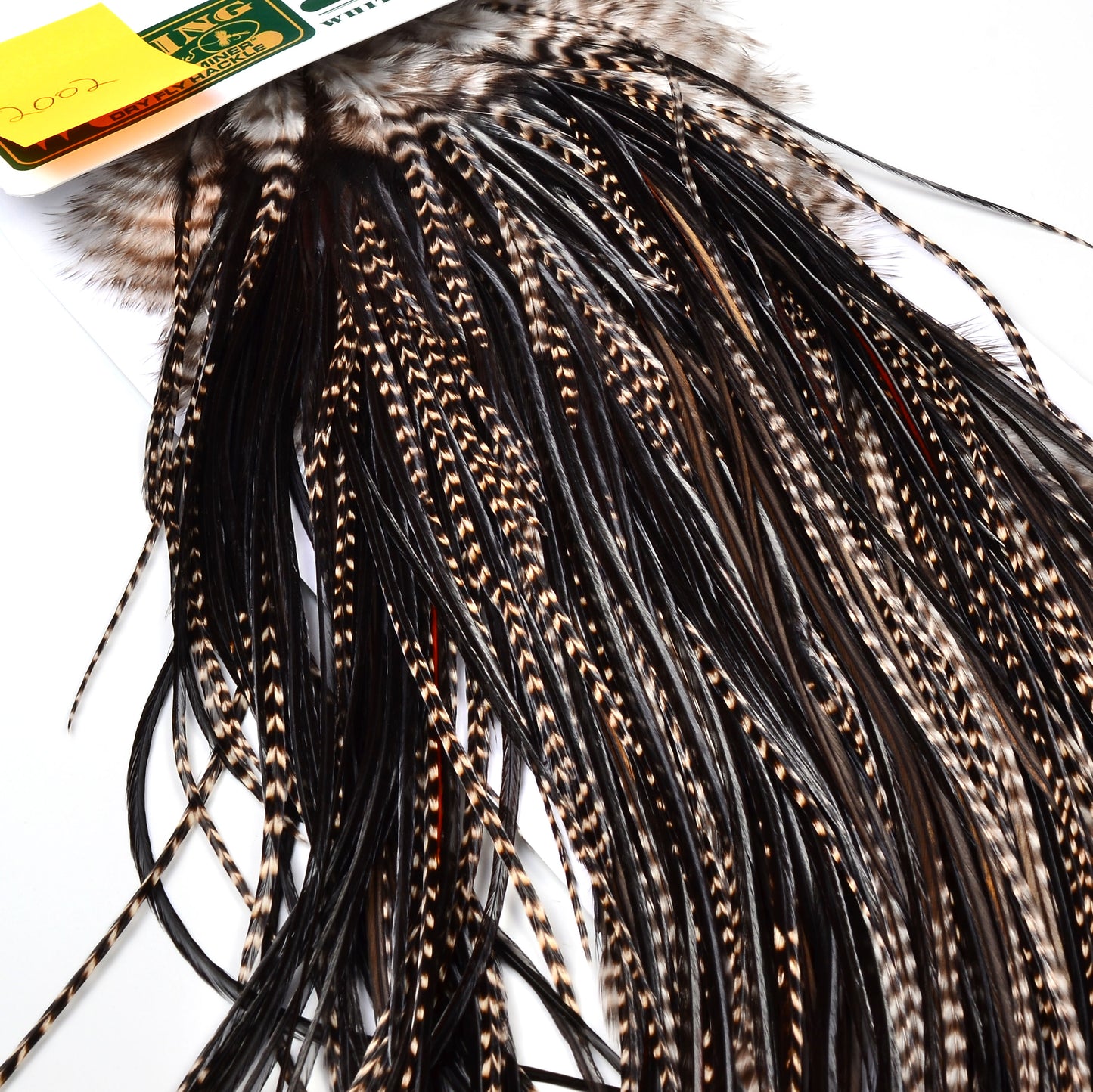 Hebert Bronze Saddle Grizzly Variant