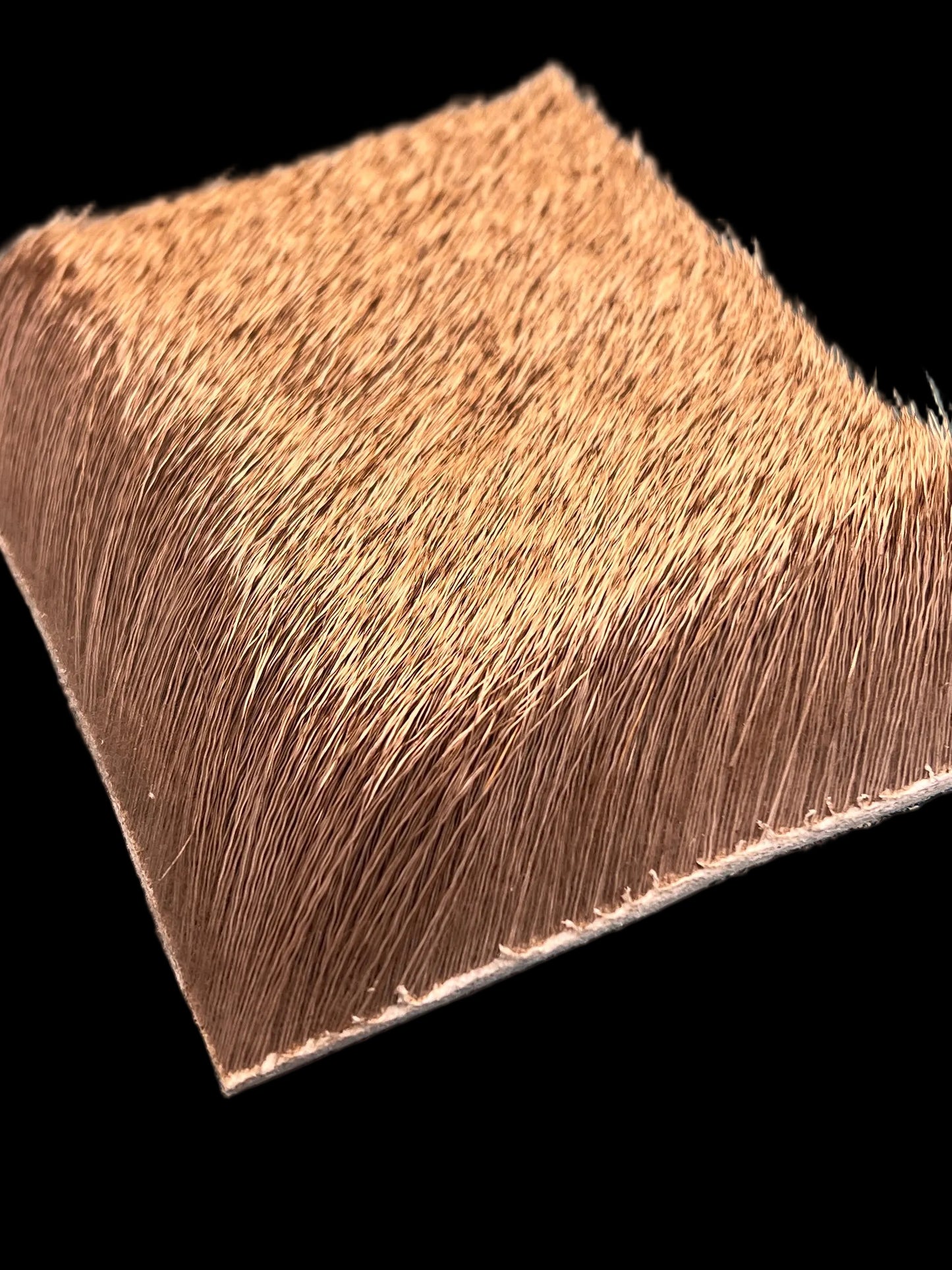 Varner Early Season Cow Elk