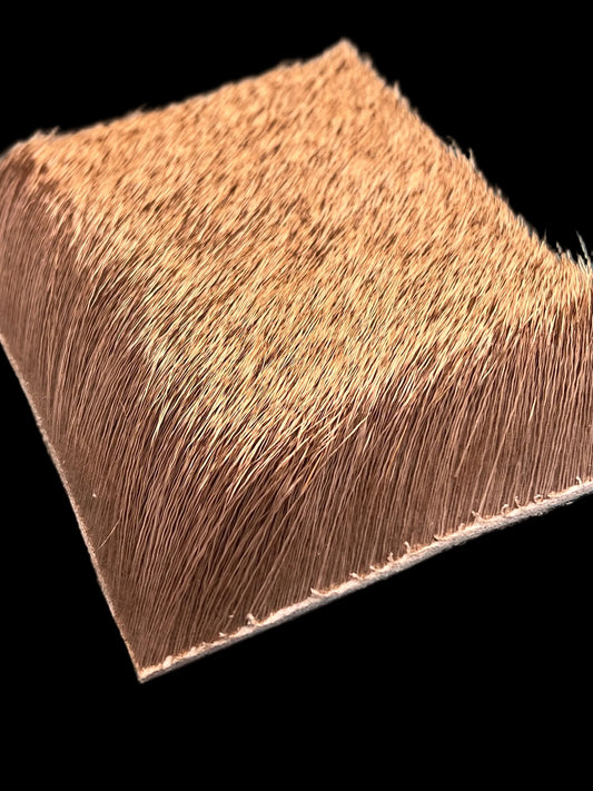 Varner Early Season Cow Elk