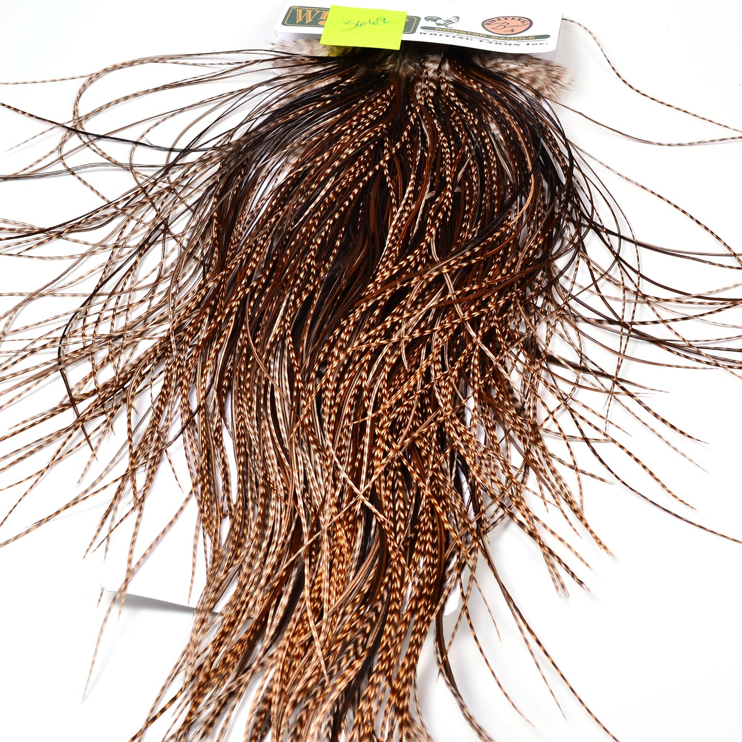 Hebert Bronze Saddle Grizzly Variant