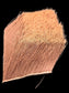 varner yearling elk