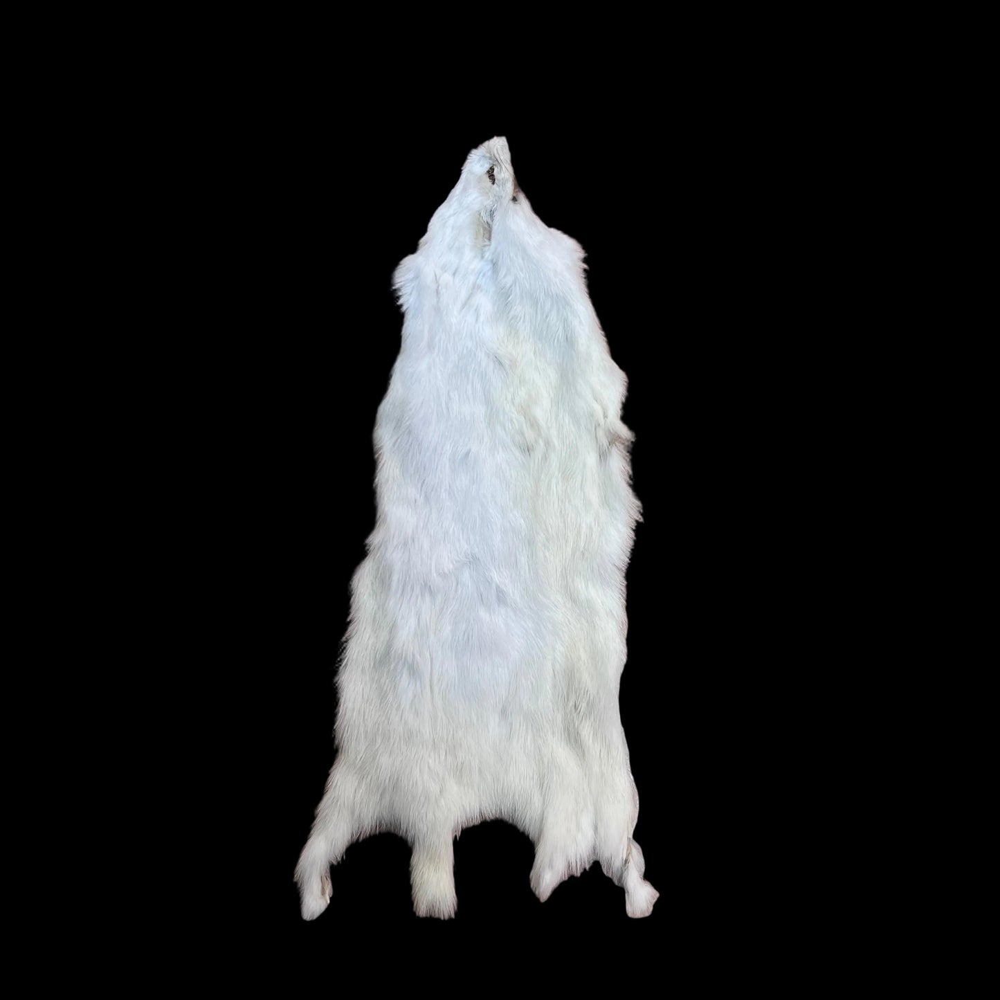 Zonked Ermine Hides (White Squirrel Strip Substitute)