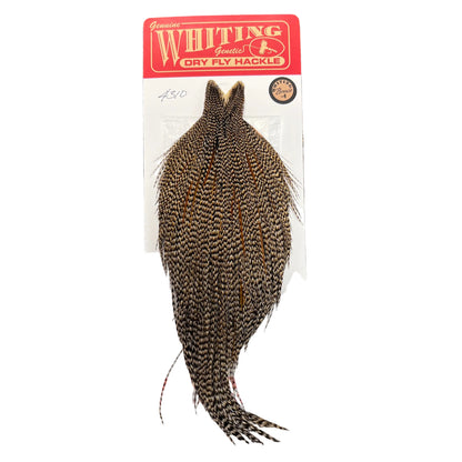 Whiting Bronze Grade Cape, Cree