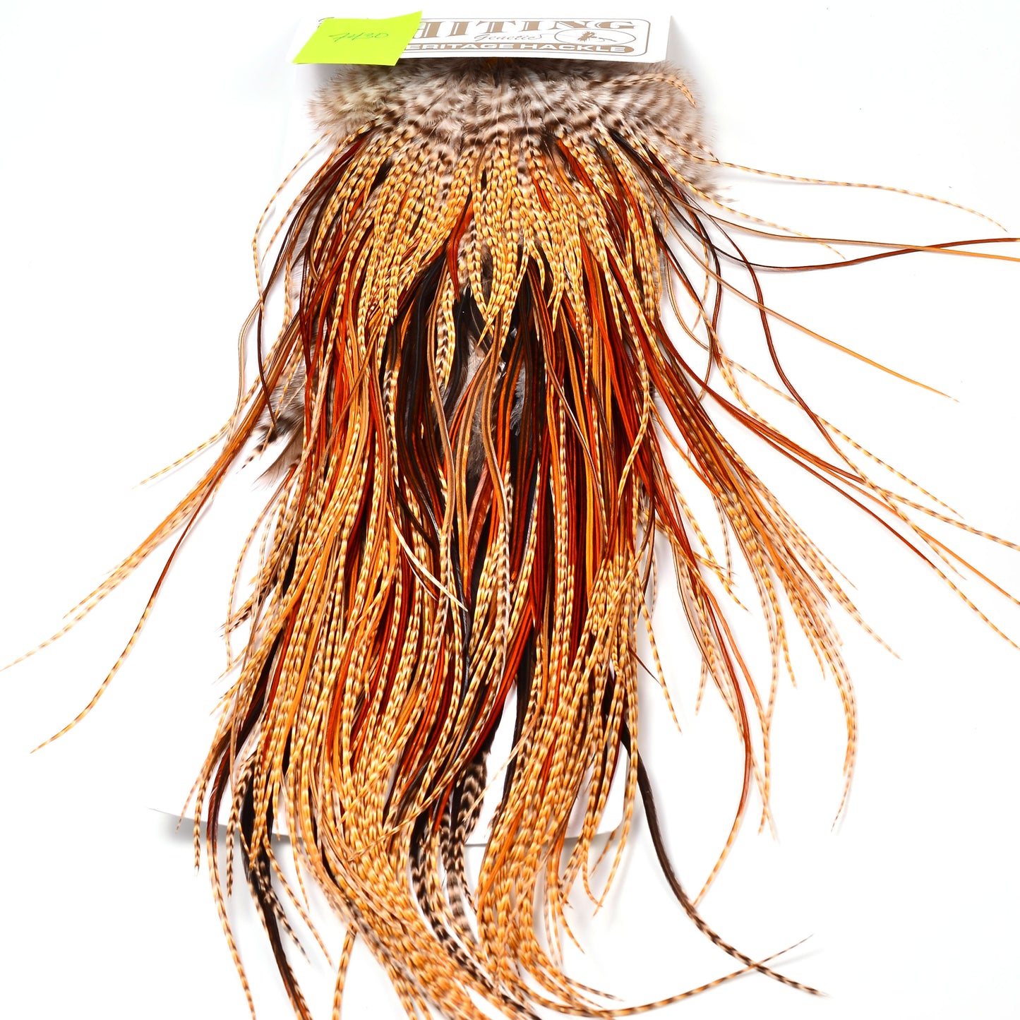 Whiting Heritage Saddle, Grade 3