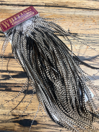 whiting euro saddle grizzly variant