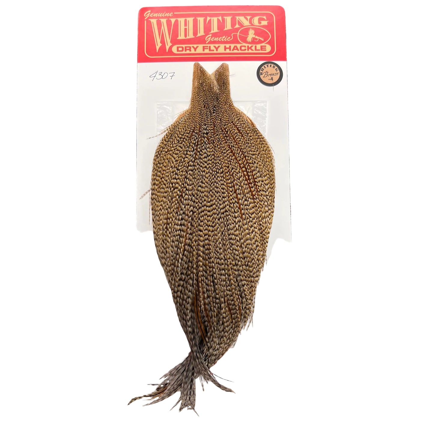 Whiting Bronze Grade Cape, Cree