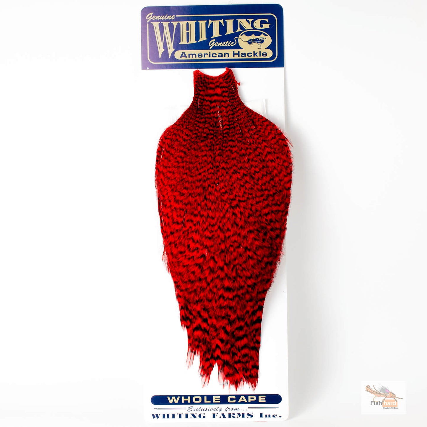 Whiting American Roost Hackle Cape Grizzly Dyed Red
