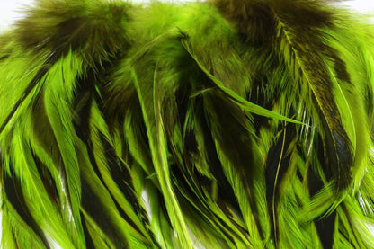 Badger Saddle Hackle, Strung