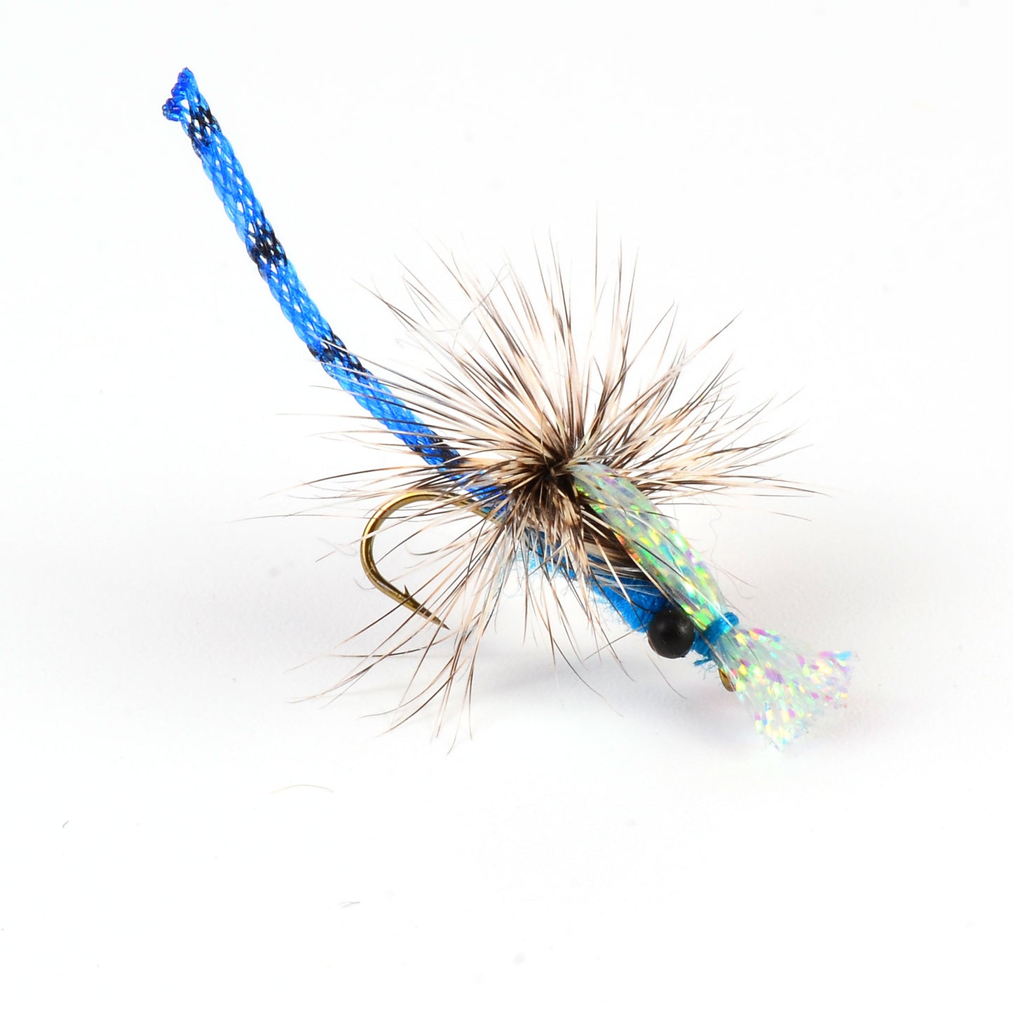 Blue Damsel Adult