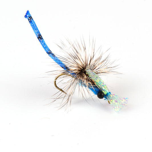 Blue Damsel Adult