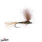 cdc sparkle dun matthews