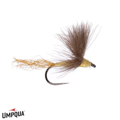 cdc sparkle dun matthews