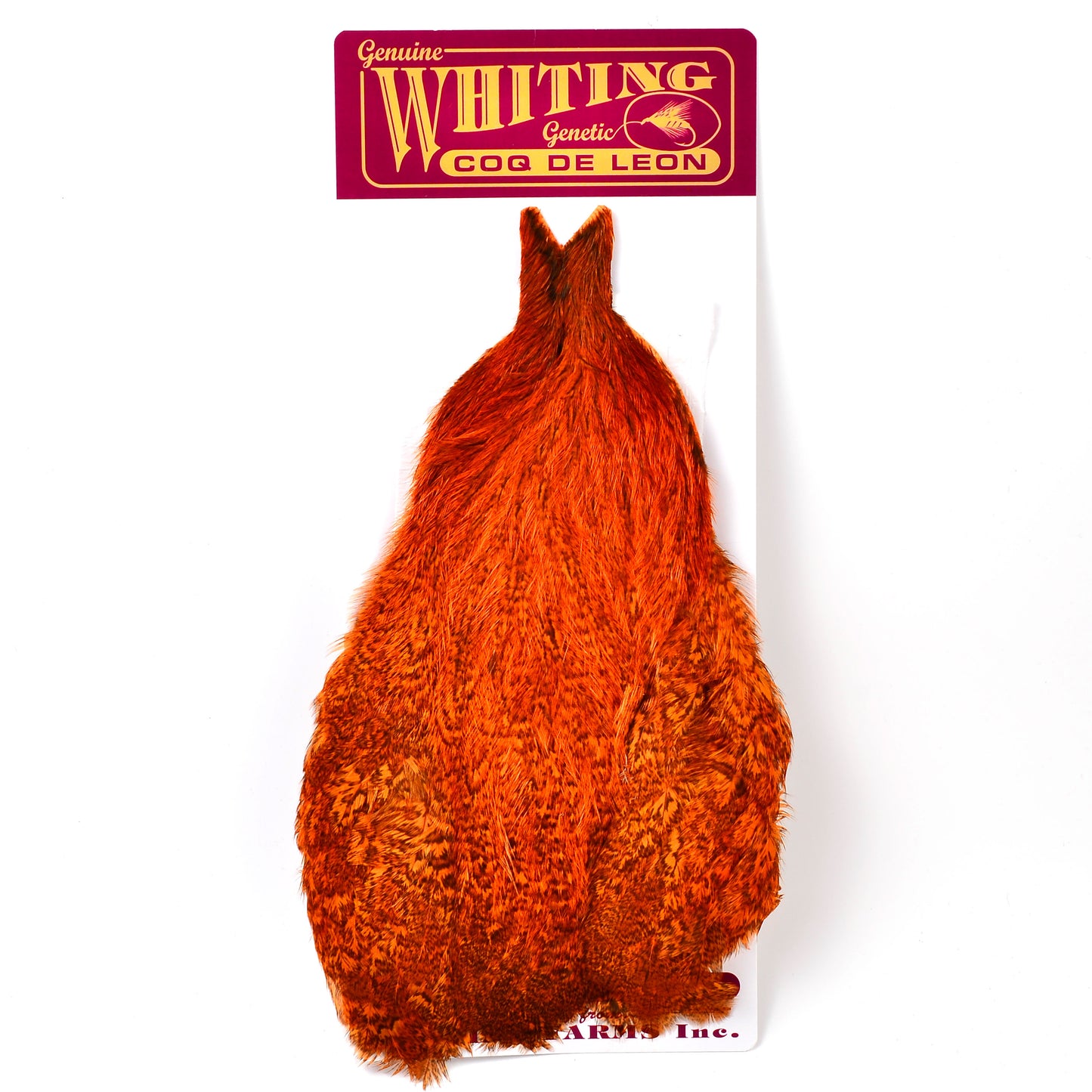 Whiting Coq de Leon (CDL) Hen Capes