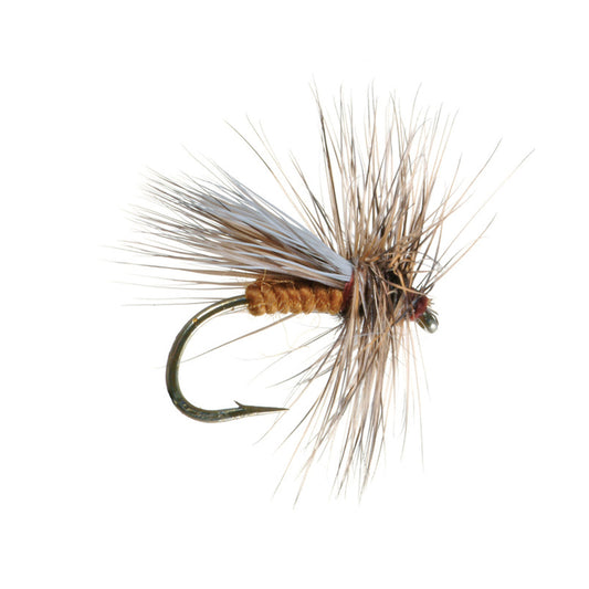 Chuck's Caddis Variant, Ginger