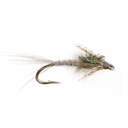 schrantzs callibaetis nymph