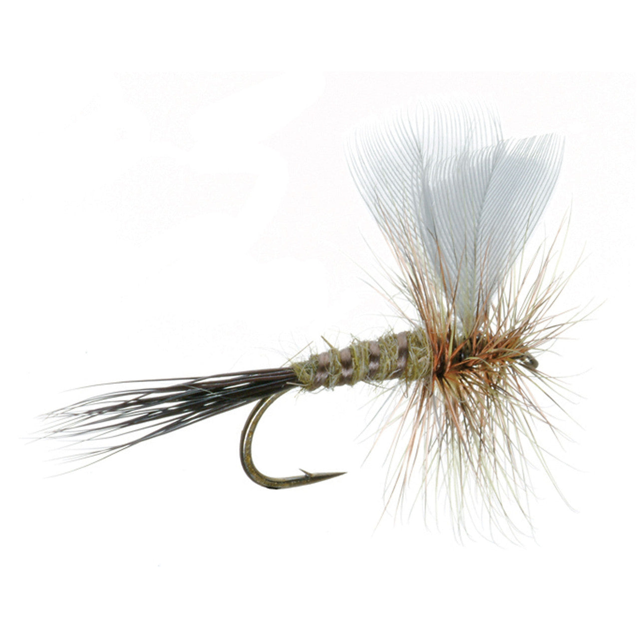 Colorado Green Drake