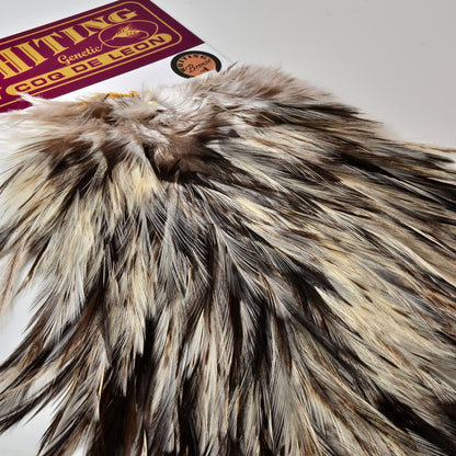 Whiting Bronze Grade Coq de Leon (CDL) Rooster Saddle