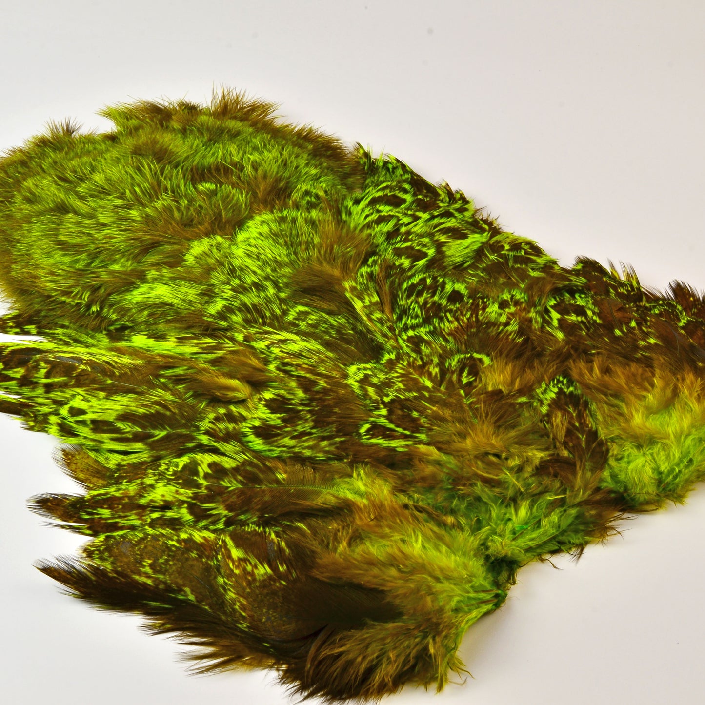 Whiting Coq de Leon (CDL) Rooster Soft Hackle with Chickabou