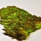 Whiting Coq de Leon (CDL) Rooster Soft Hackle with Chickabou