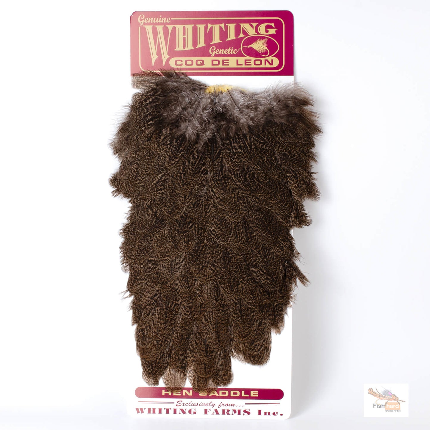 CoqdeLeonHenSaddle_Brown