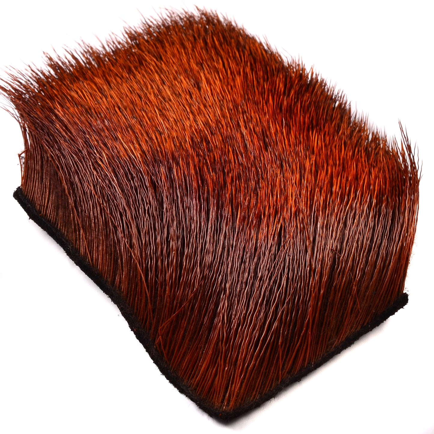 Select Cow Elk