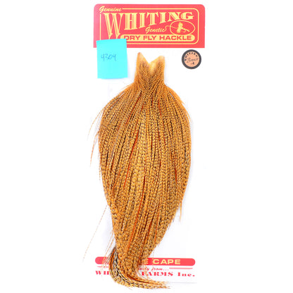Whiting Bronze Grade Cape, Cree