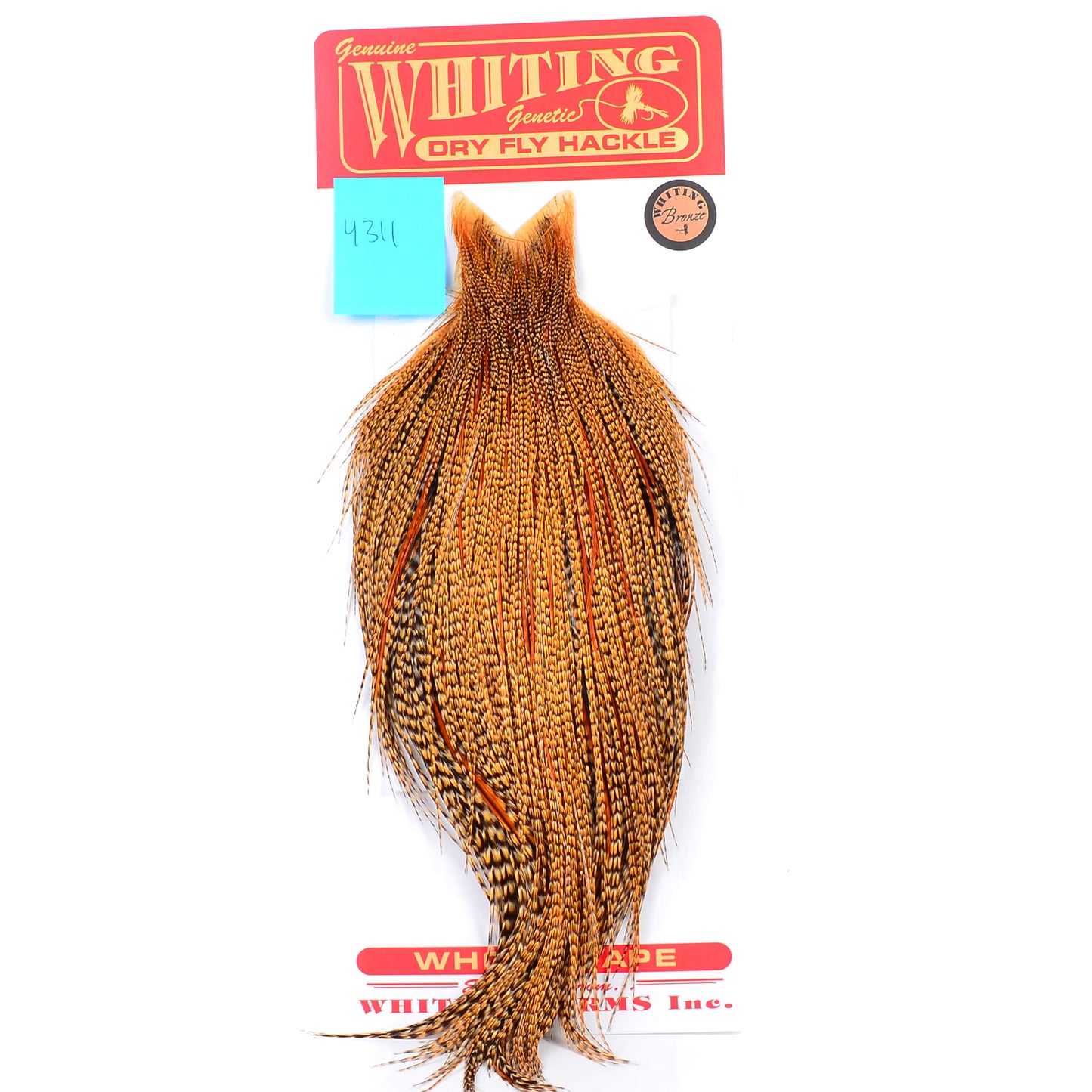 Whiting Bronze Grade Cape, Cree