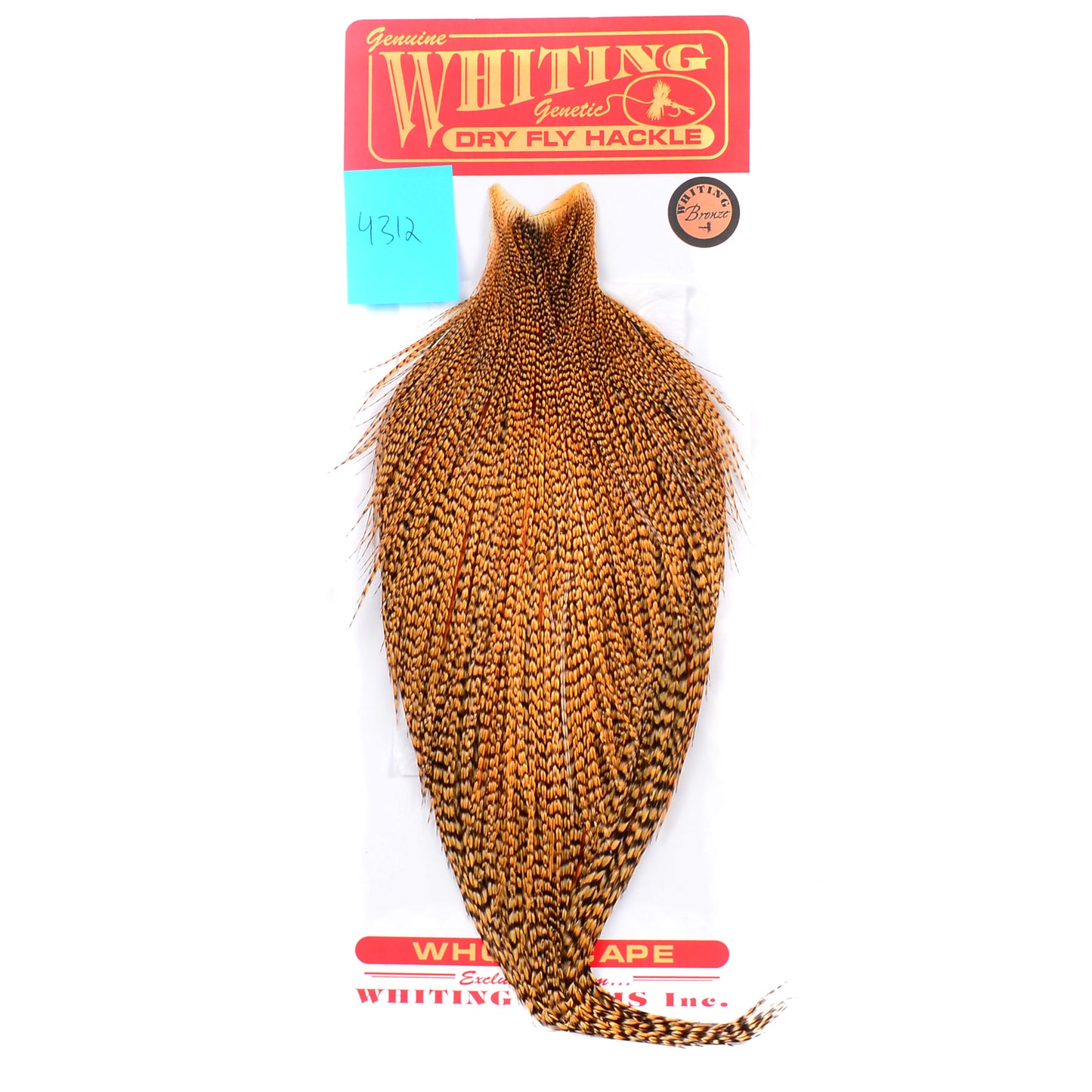 Whiting Bronze Grade Cape, Cree