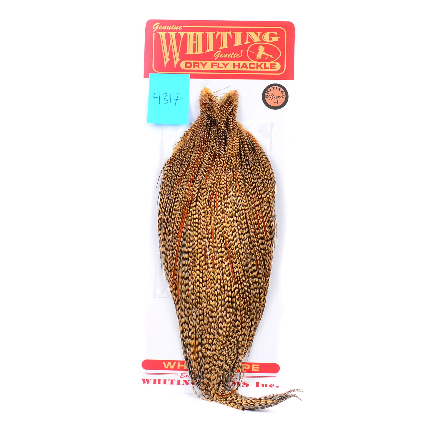 Whiting Bronze Grade Cape, Cree
