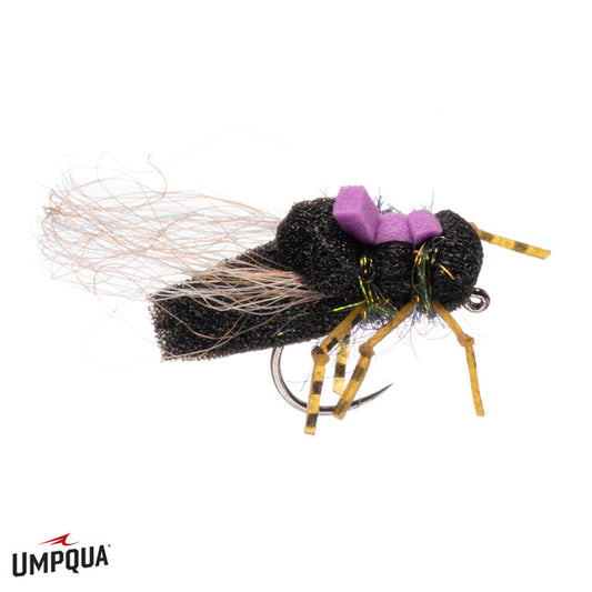 Cruel Summer Cicada
