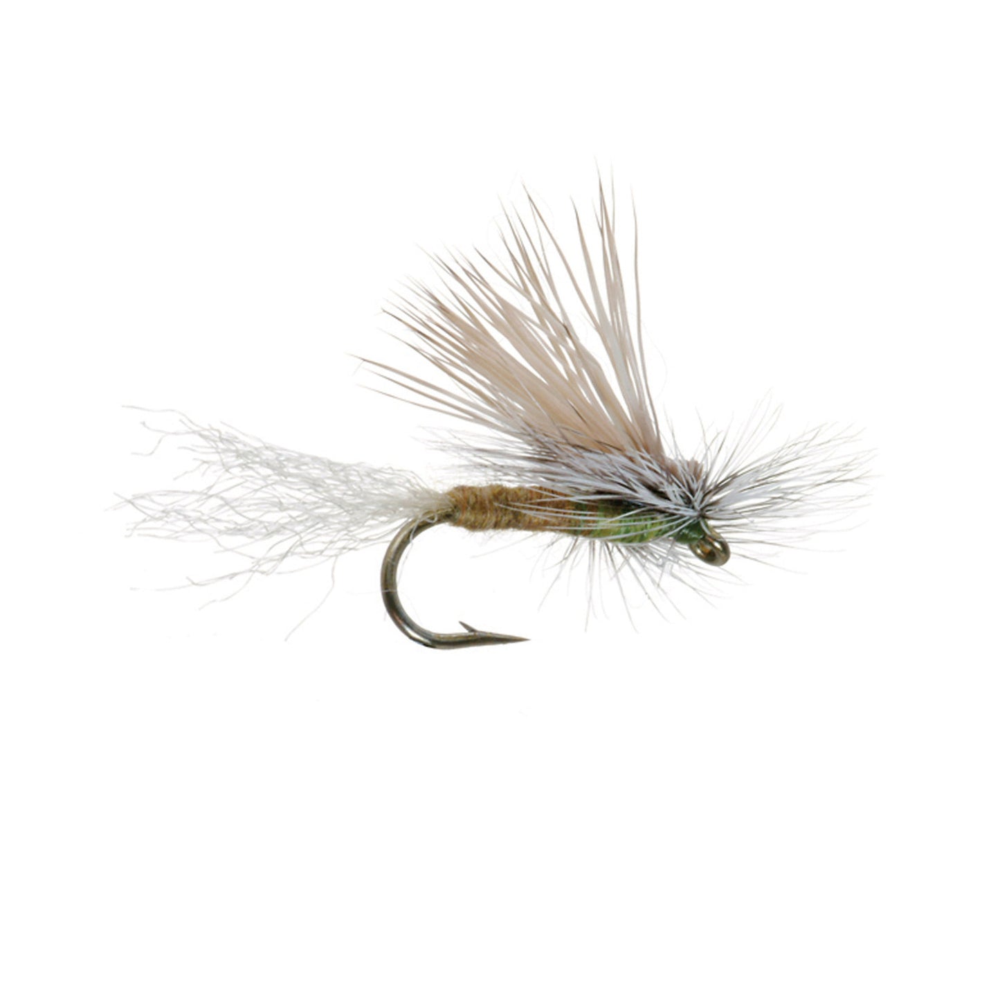 E/C Caddis