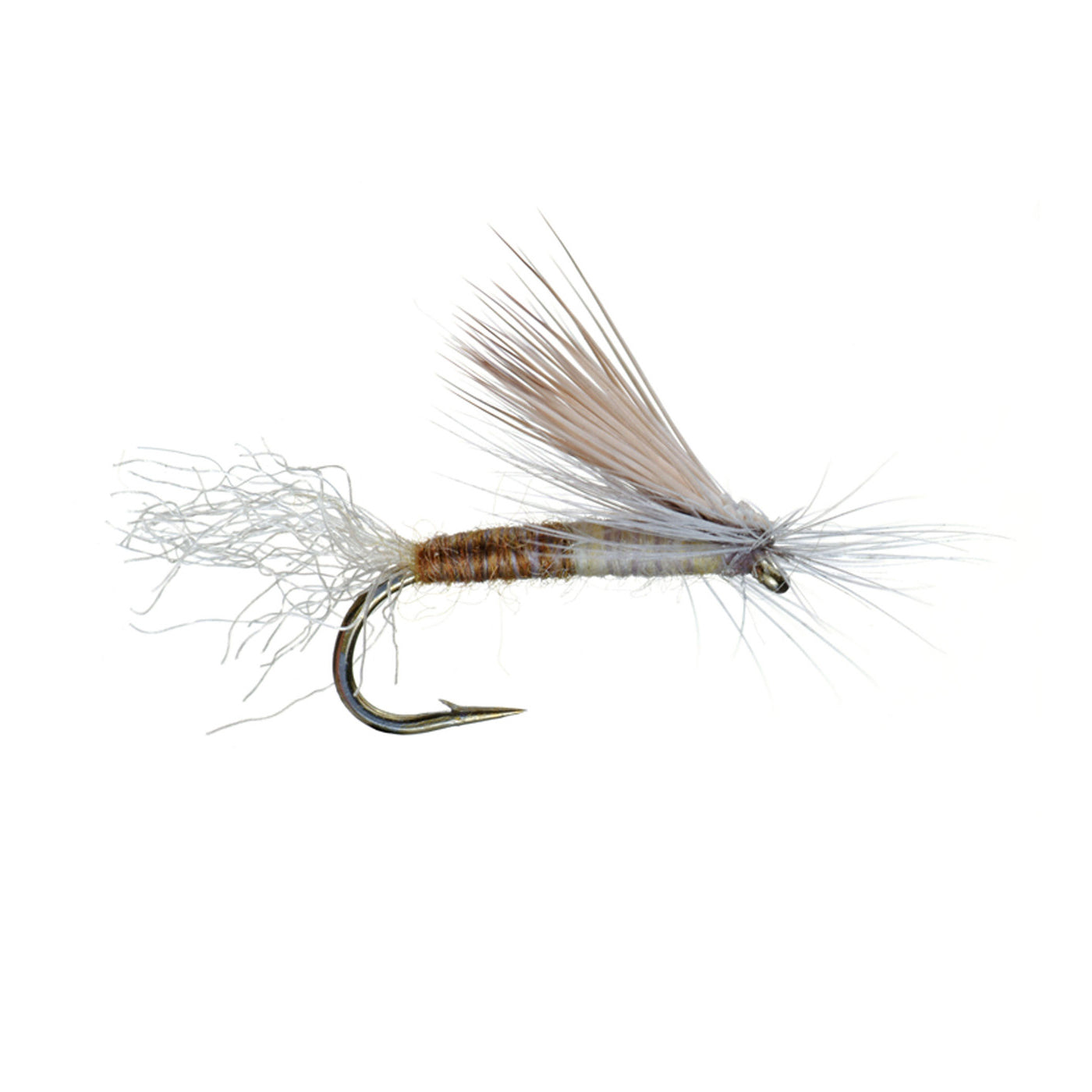 E/C Caddis