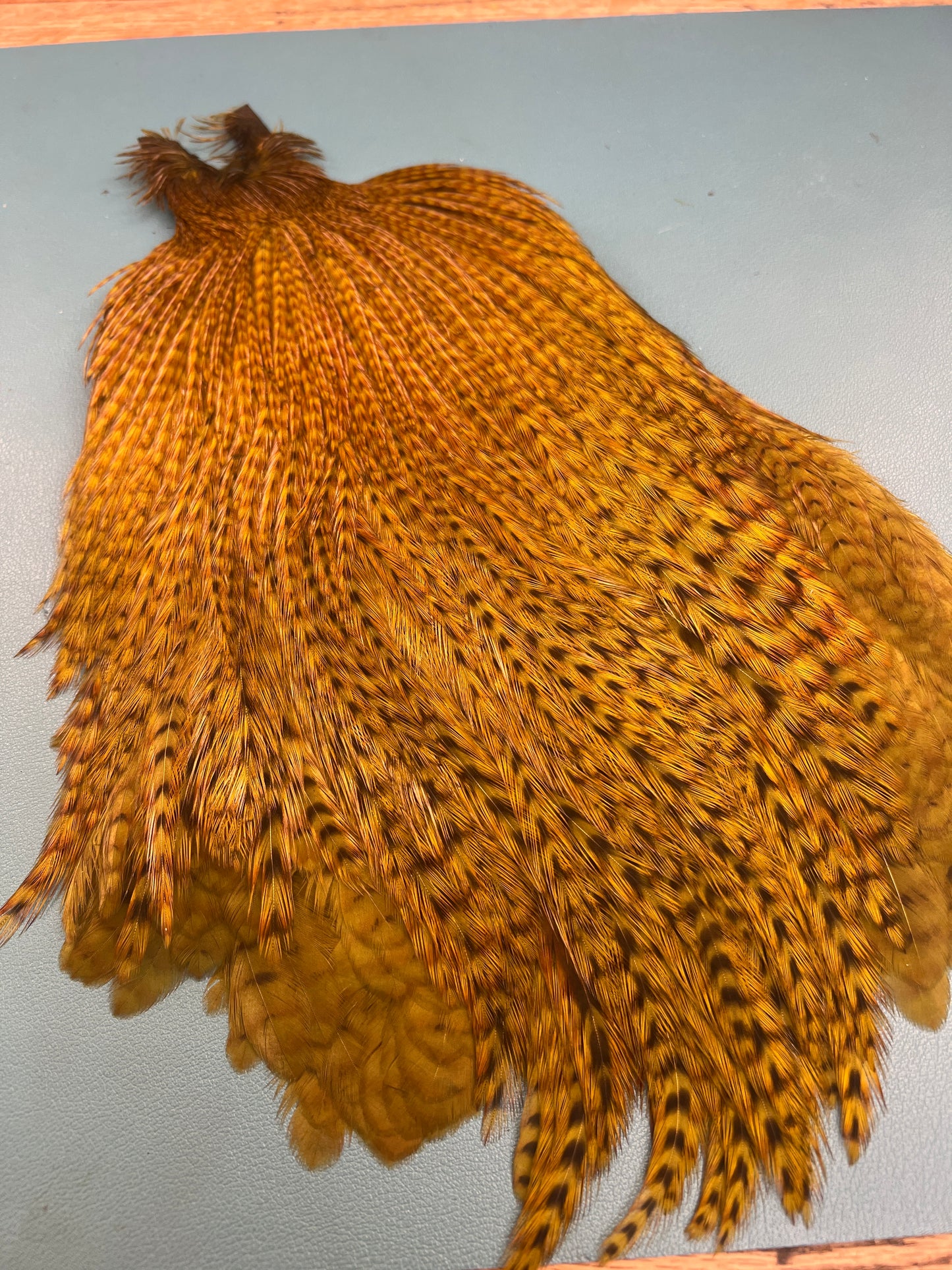 wapsi magnum streamer neck 2