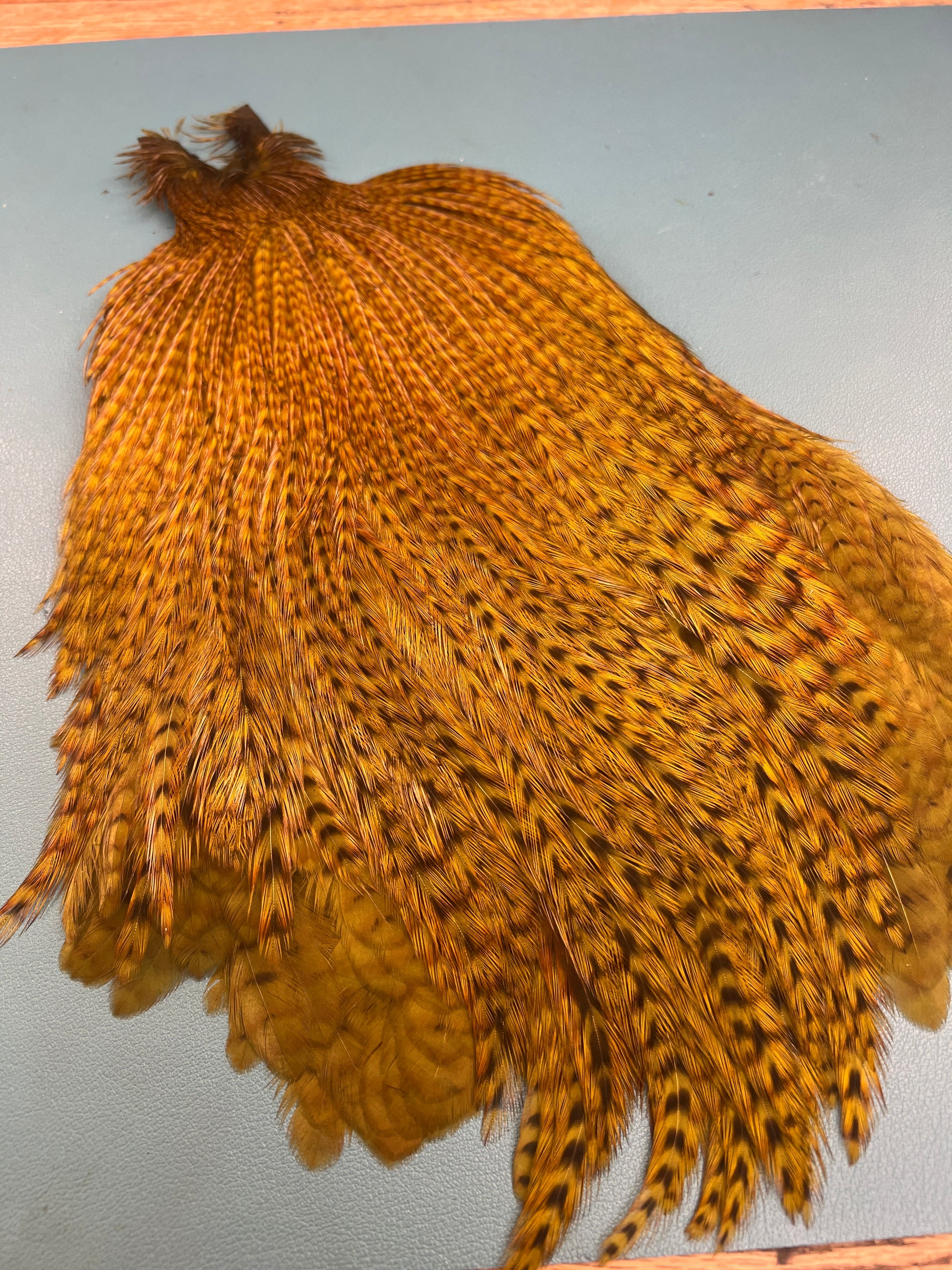 wapsi magnum streamer neck 2