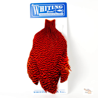 Whiting Freshwater Streamer Capes
