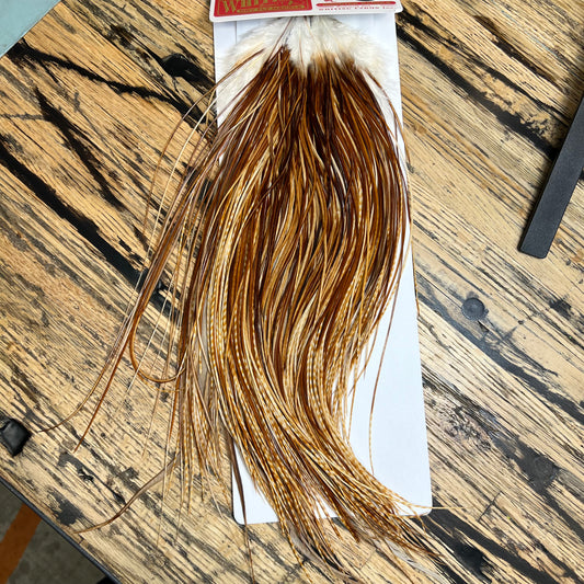 Whiting Bronze Grade Rooster Saddle, Barred Medium Ginger