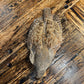 Premium Rolled Hungarian Partridge Hides