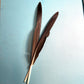 Natural Canada Goose Biot Quills