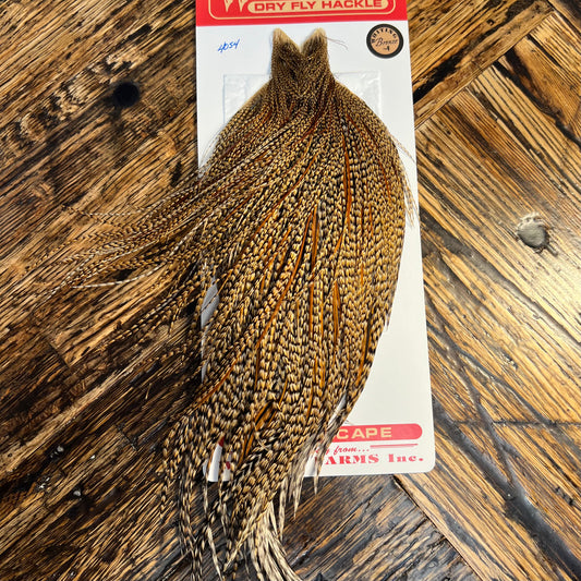 Whiting Bronze Grade Cape, Cree