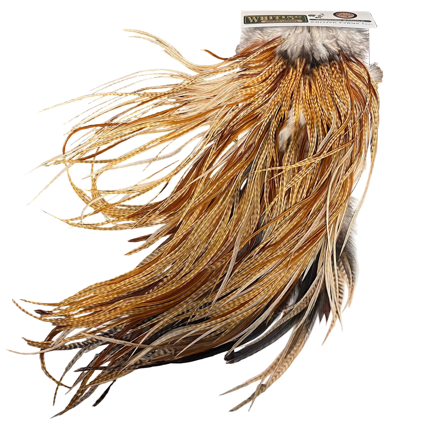 hebert bronze grade saddle barred medium ginger