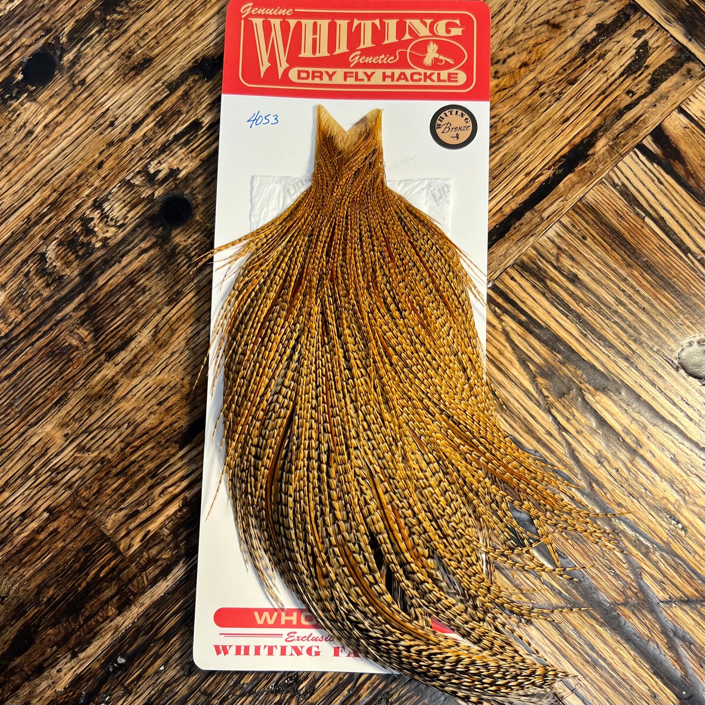 Whiting Bronze Grade Cape, Cree