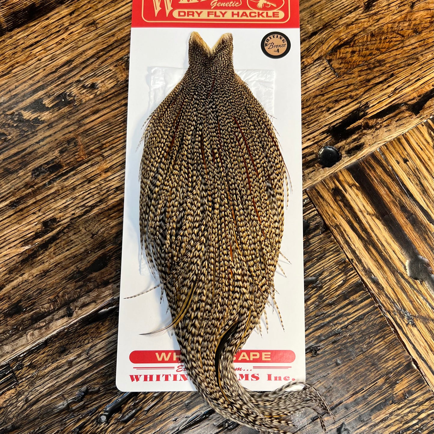 Whiting Bronze Grade Cape, Cree