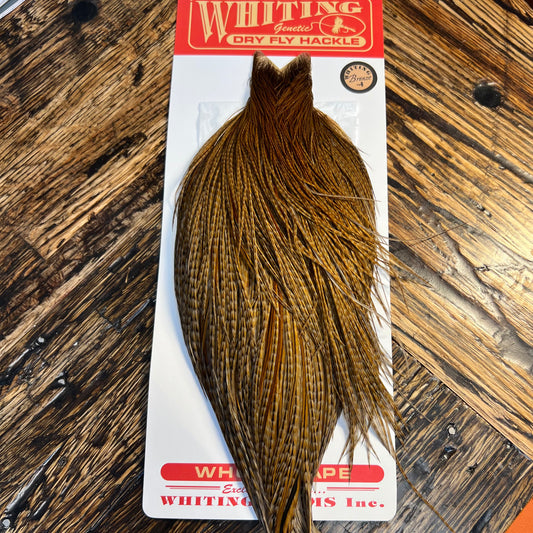 Whiting Bronze Grade Cape, Barred Ginger Dyed Dun