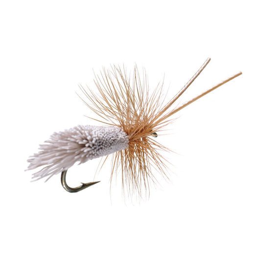 Goddard Caddis