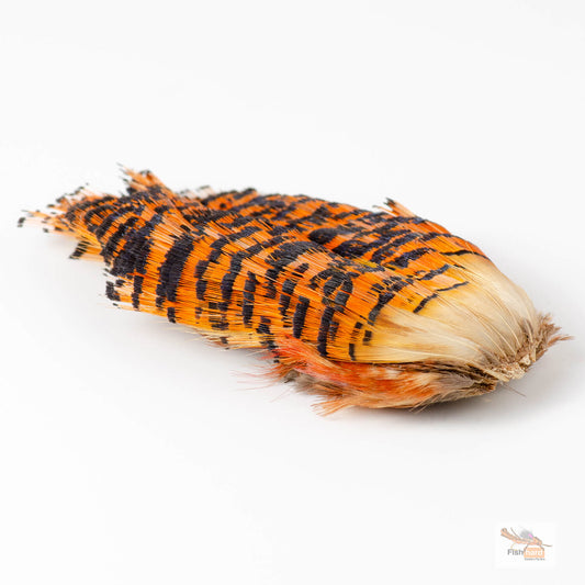 Golden Pheasant Tippet Sections and Complete Heads