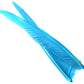 Goose Quills